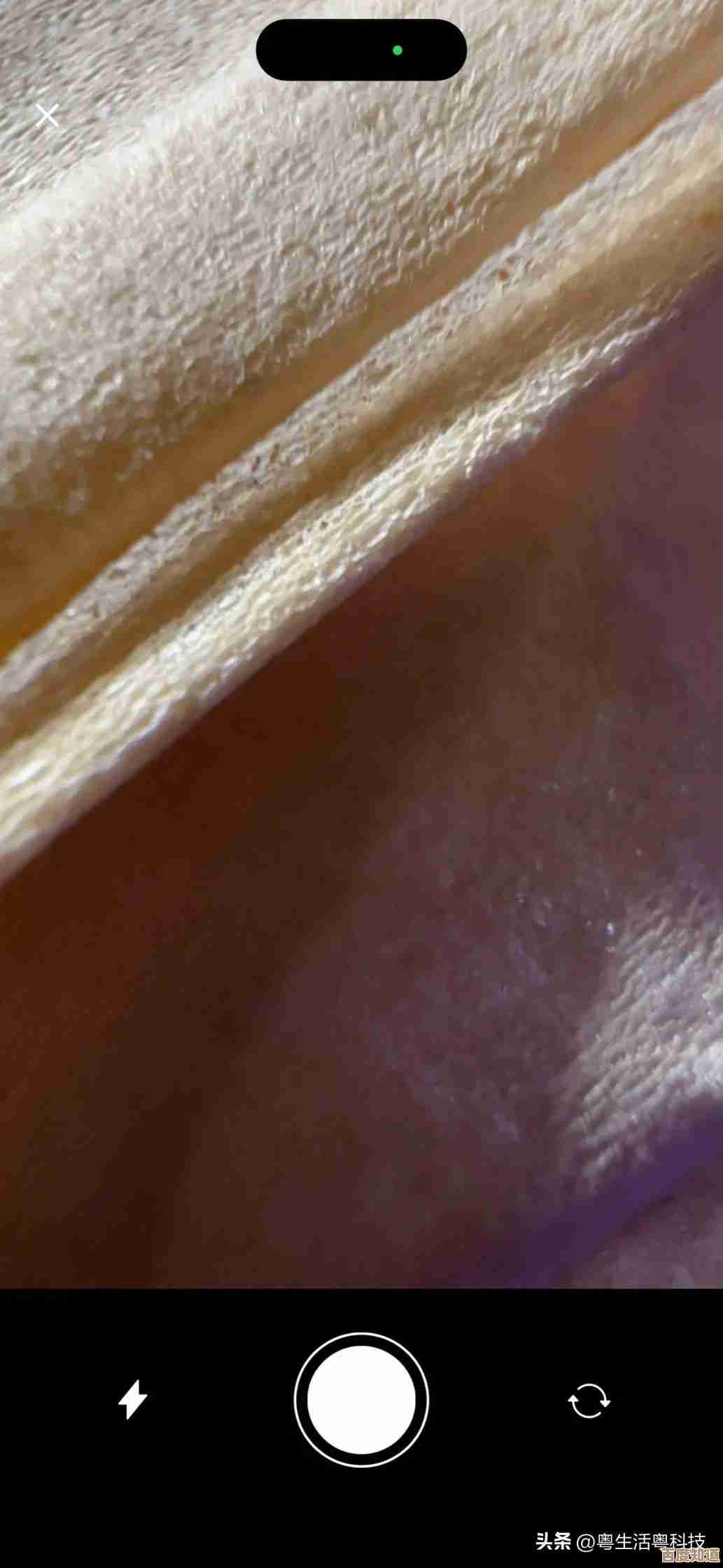 华为4G手机：极速网络体验，让每一刻畅连无忧