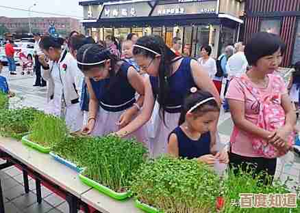 新萝卜家园系统安装指南，小鱼手把手教您轻松完成装机