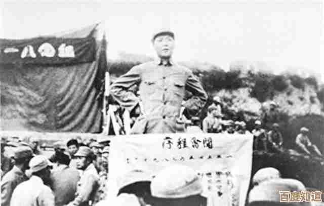 相机天梯图解析：提升器材选择效率的关键技巧