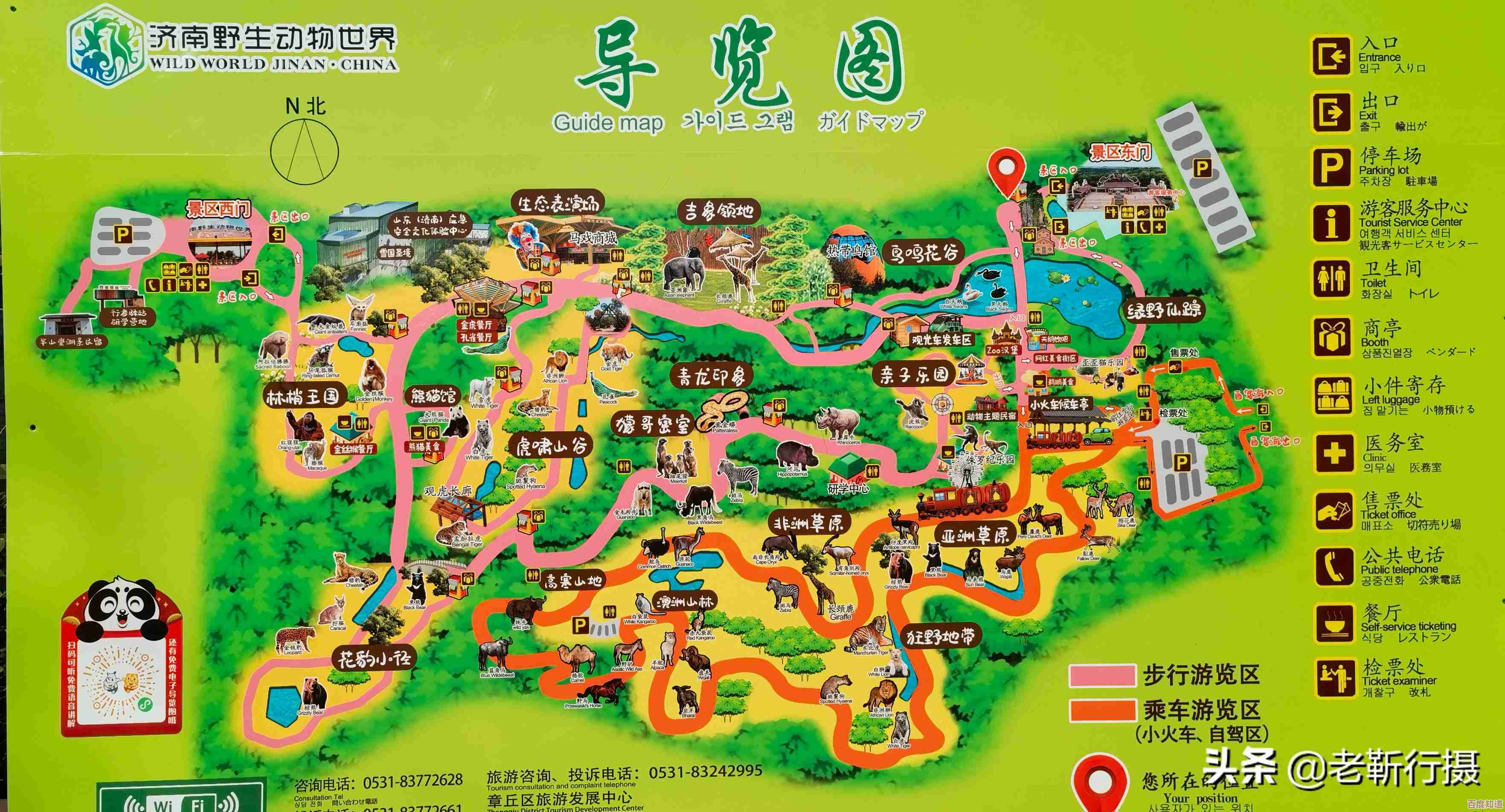 疯狂动物园无限任务心得，碎片式教你怎么刷高分、避坑还有奇葩方法