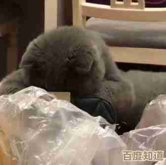 掌握呼叫转移设置技巧，小鱼带您快速搞定手机功能配置