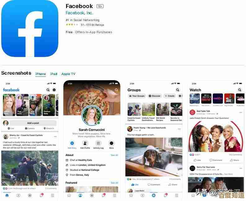 掌握Facebook应用下载方法，轻松获取官方正版社交平台安装指南