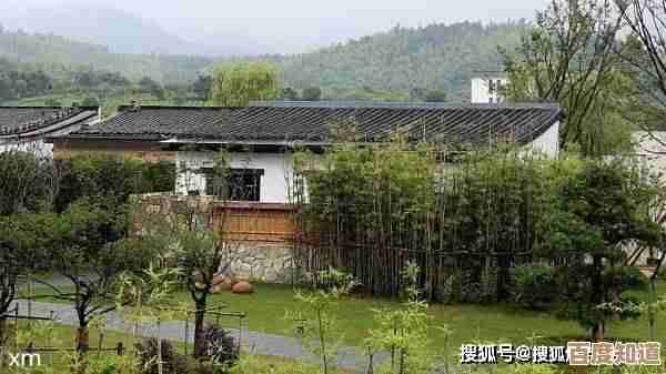探索SD概念：全面解析其定义与核心要义