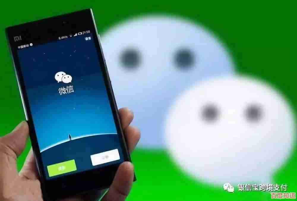 快速掌握微信积分查询技巧：详细步骤助你一键查看账户积分