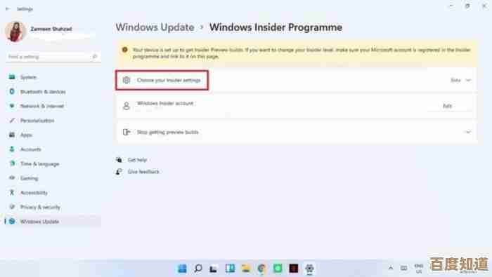 Win11 DEV频道选择教程：从设置到体验的完整方案