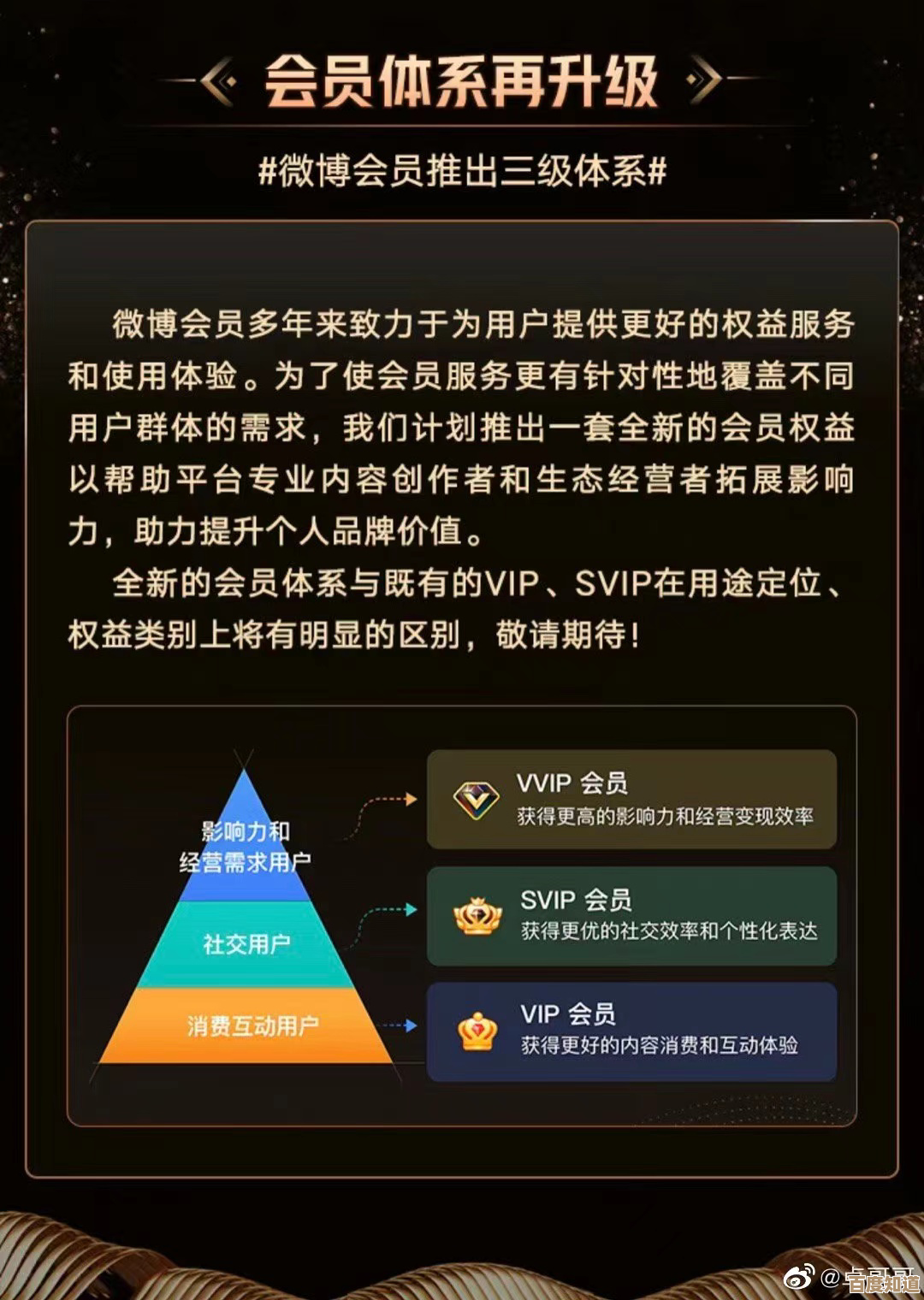 从专属装扮到优先客服：细数微博会员的实用优势与惊喜功能！