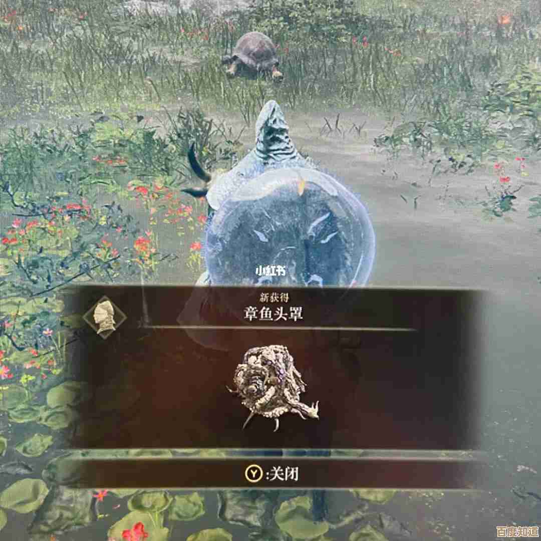 艾尔登法环坐骑按哪个键啊我总是按错，这键到底啥用