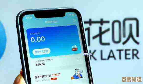 轻松理清花呗还款原因与步骤，实用方法一网打尽