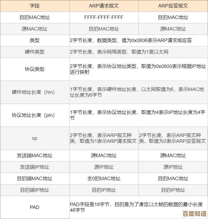 小鱼为您详解networkservice：网络服务的核心概念与应用