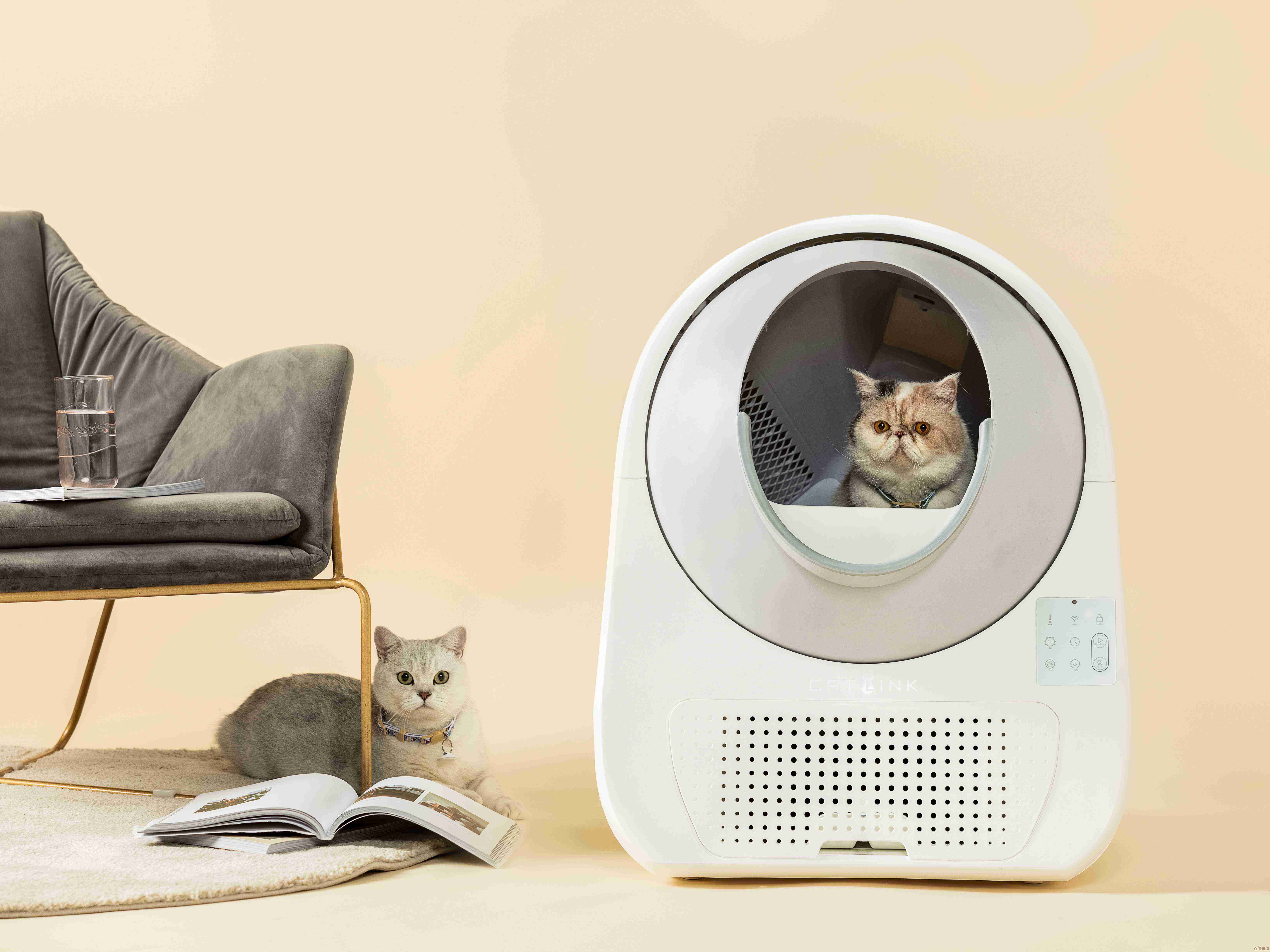猫与路由器：当科技遇见宠物，智能生活的新篇章