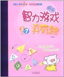 盘点那些你可能没玩过的数字智力游戏,哪些真好玩.