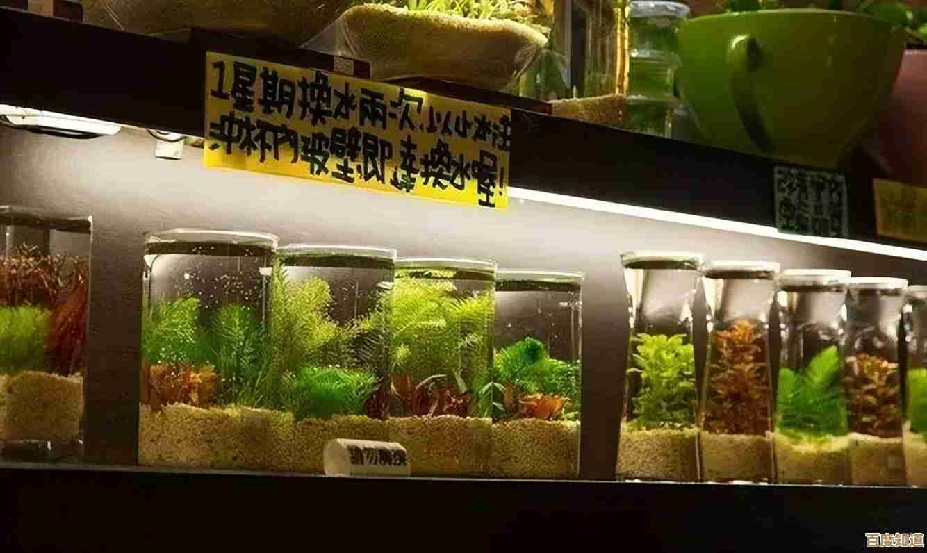 探索SSD固态硬盘如何让笔记本速度飞跃,小鱼带您了解核心好处 探索SSD固态硬盘如何让笔记本速度飞跃,小鱼带您了解核心好处