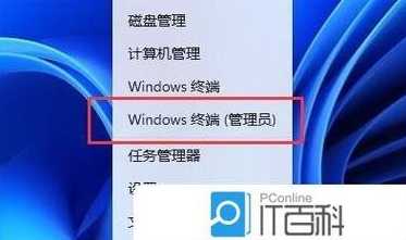 Win11应用频繁闪退?这些实用技巧助你快速修复