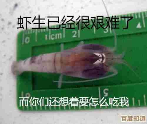 白色盲虾都挤在海底热泉边？它们真的不会被高温烫到吗