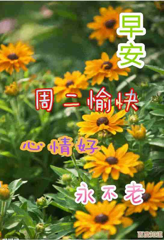 无限暖暖花愿镇服装设计图宝箱位置,总结零散笔记在这里
