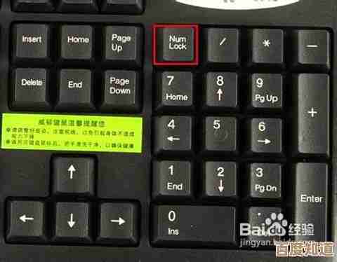如何开启笔记本小键盘?小鱼分享简单有效的启用方法