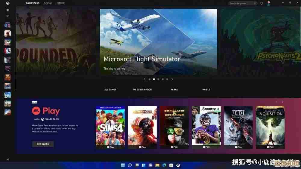 Windows 11家庭版轻松升级至专业版,解锁更多高级功能与自定义选项