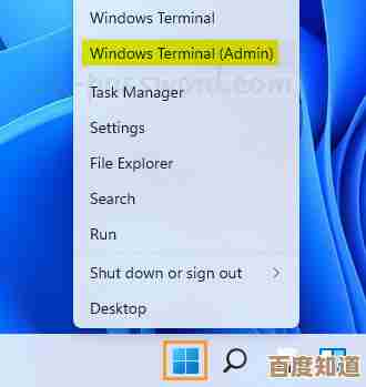 Windows 11本地组策略编辑器详细使用指南与技巧分享