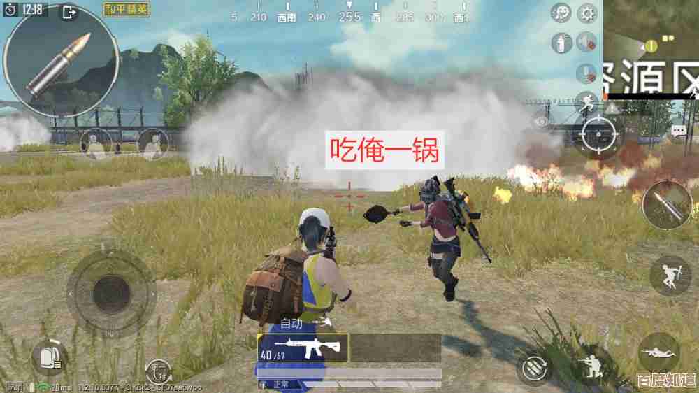 有没有人知道怎么把和平精英弄成竖屏玩,卡法稳定吗.
