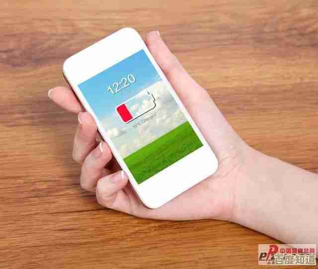 手机助手:连接世界,轻松处理一切,让生活尽在掌握中