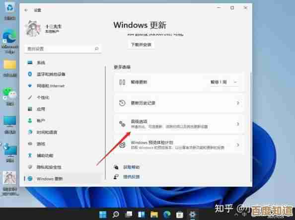 告别复杂步骤,Win11升级新体验让安装高效无忧