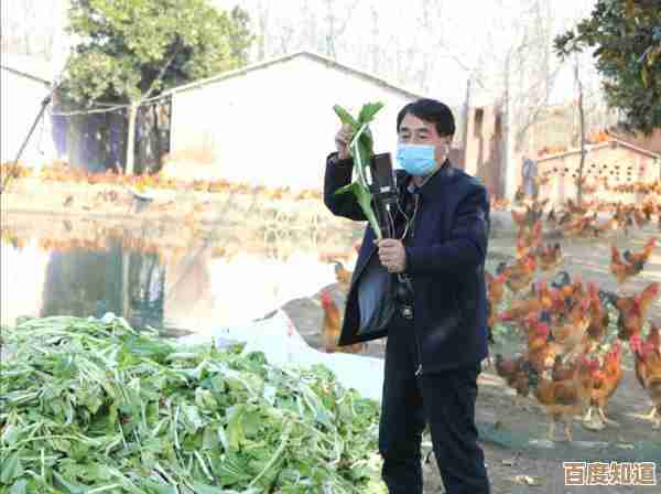 全面掌握微信高效使用方法,从入门到精通的实用教程