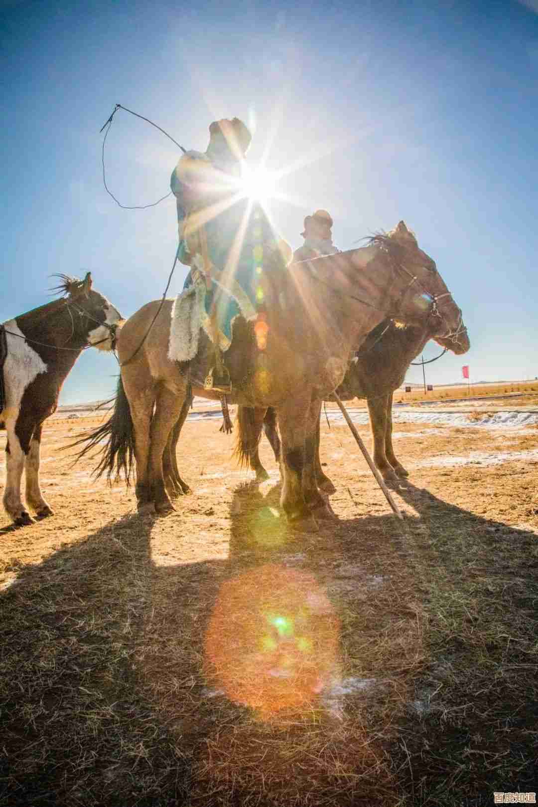 天空之琴到底有什么用?别急,先看这些隐藏收益和实战小妙用吧. 天空之琴到底有什么用?别急,先看这些隐藏收益和实战小妙用吧.
