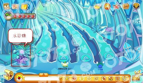 摩尔庄园里的水珊瑚获取攻略,运气和方法都重要…