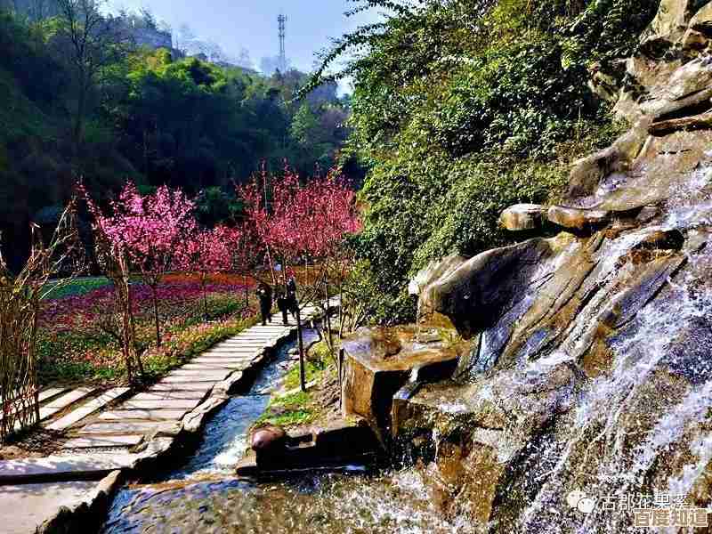 Win11系统重装详细教程:一步步教你轻松完成电脑重装