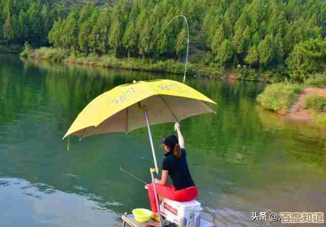 小鱼亲授:安全可靠的SD卡数据恢复方法,一步步教你找回重要文件 小鱼亲授:安全可靠的SD卡数据恢复方法,一步步教你找回重要文件