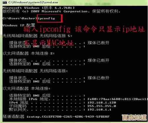 全面了解电脑IP地址查询技巧:从基础到高级操作指南
