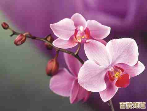 无限暖暖里水晶块跳跃的一些小技巧，别只靠运气了