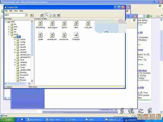访问Linux系统官方网站:获取开源操作系统的完整指南与最新动态