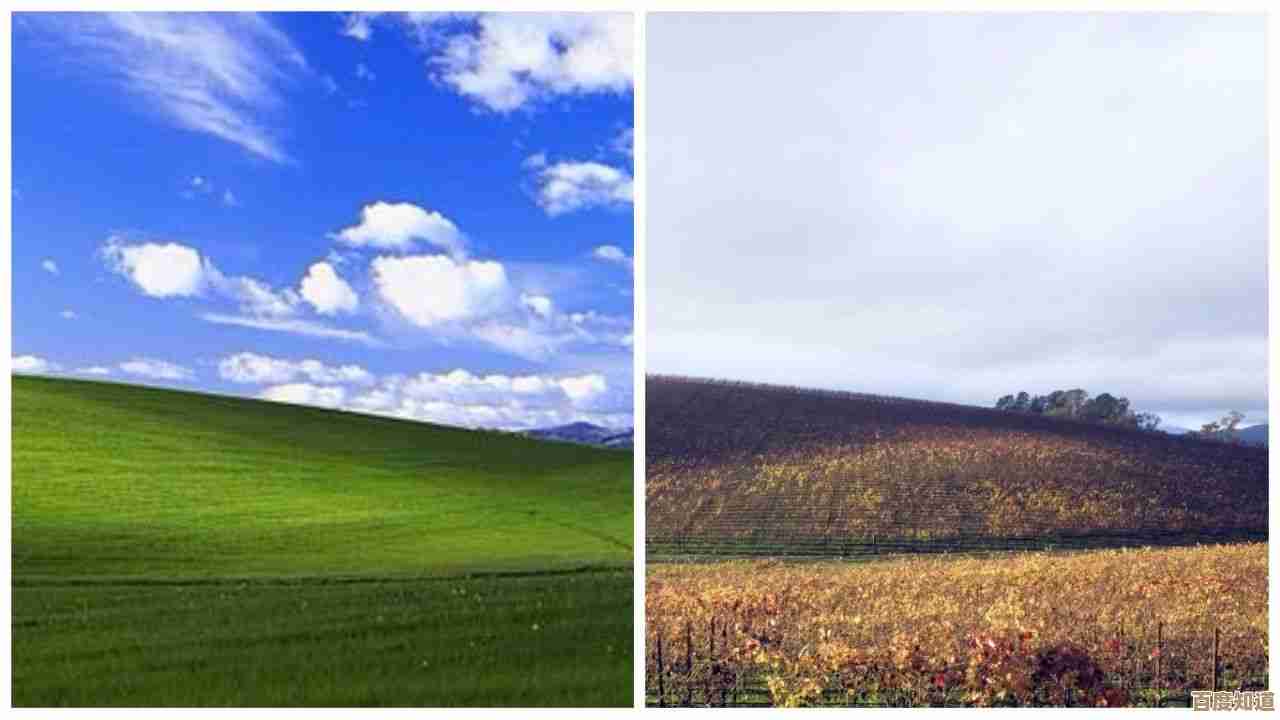 Windows 11桌面闪烁问题排查与完整解决指南 Windows 11桌面闪烁问题排查与完整解决指南