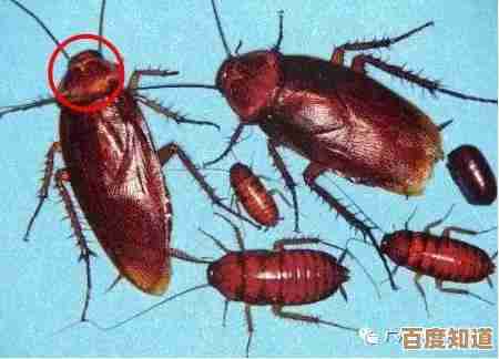 梦幻飞仙爬塔7至10层详细步骤讲解,乱说几招实用技巧留着用