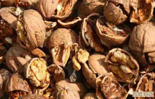 金核桃能换啥、值不值得收集,乱七八糟的用途笔记 金核桃能换啥、值不值得收集,乱七八糟的用途笔记