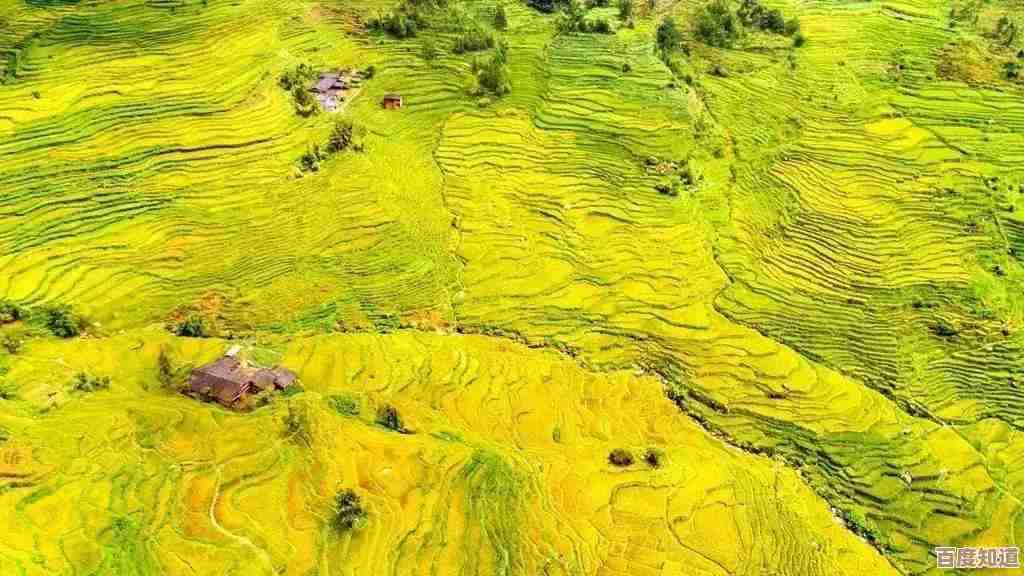 探索vCPU性能天梯图:深入理解虚拟CPU,提升云计算应用效率 探索vCPU性能天梯图:深入理解虚拟CPU,提升云计算应用效率