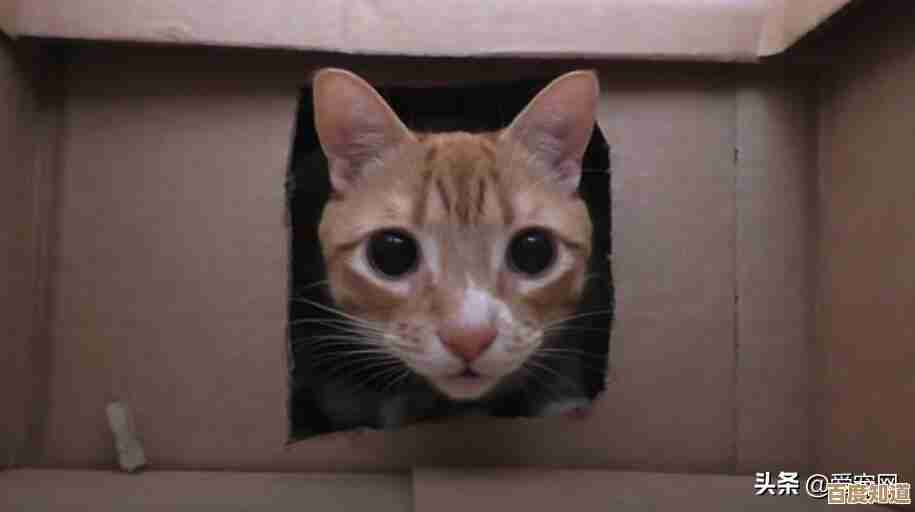 探索游戏盒精彩世界，热门游戏一触即玩！