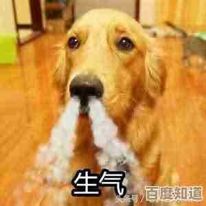 《无限暖暖》汪汪毛线失踪事件任务攻略，支线隐藏点和快速过法，先看这个吧