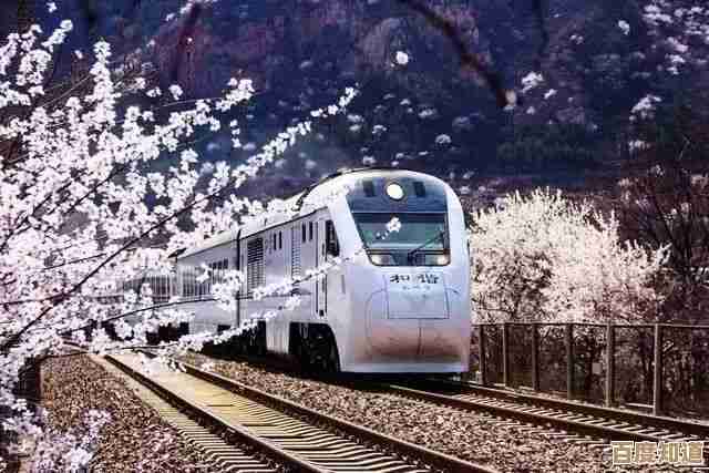 探索高效方法：如何安全解开加密压缩文件的密码