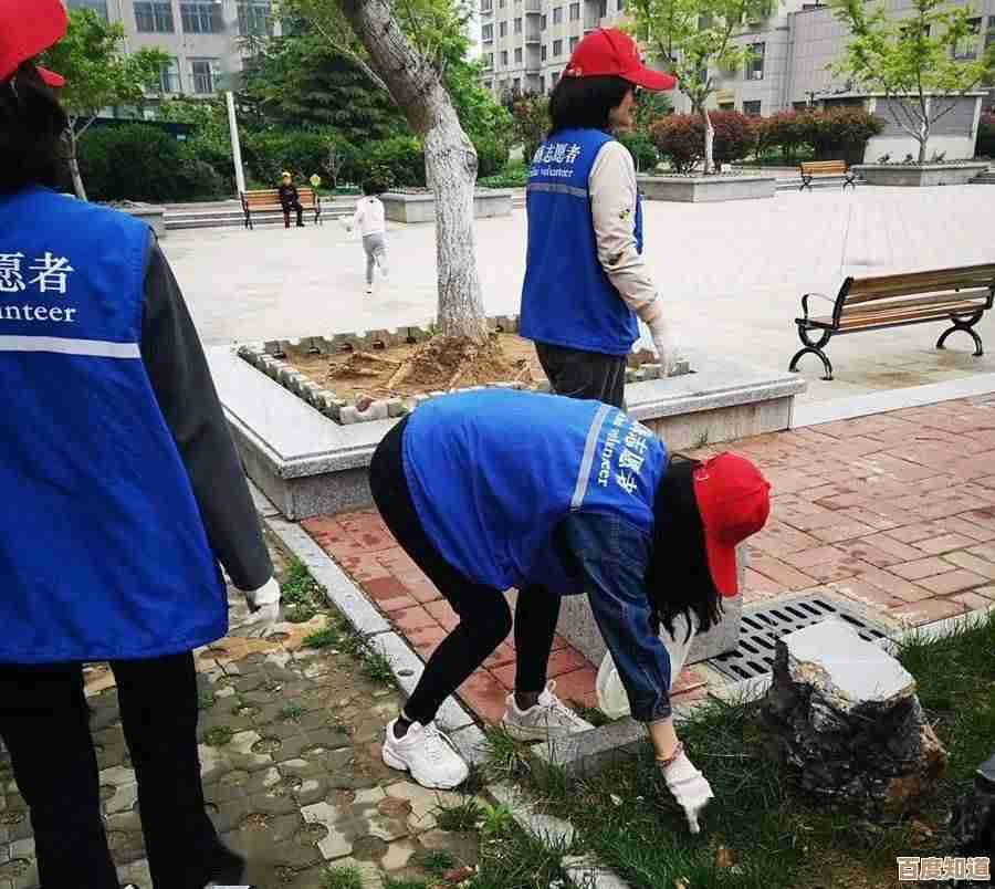 SV具体指什么？深入探讨其定义与实际使用场景