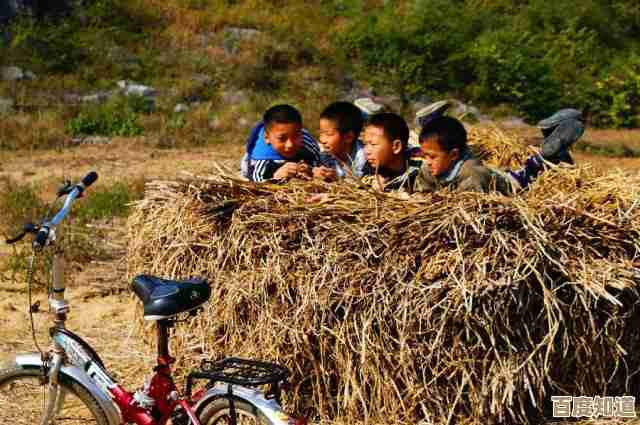 360图书馆:打造属于你的个性化阅读天地,尽享知识海洋