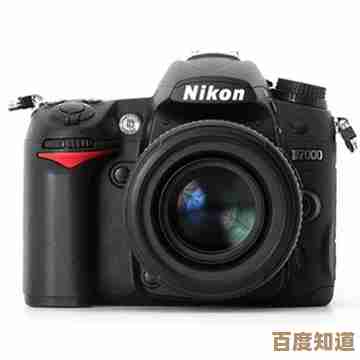 尼康相机天梯图高清解析：细节捕捉无遗，卓越性能完美展现