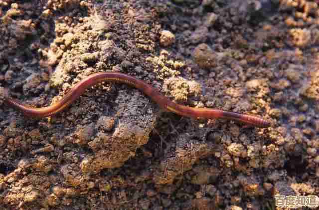 异环改装系统那些你没注意到的小坑和套路，随便聊聊
