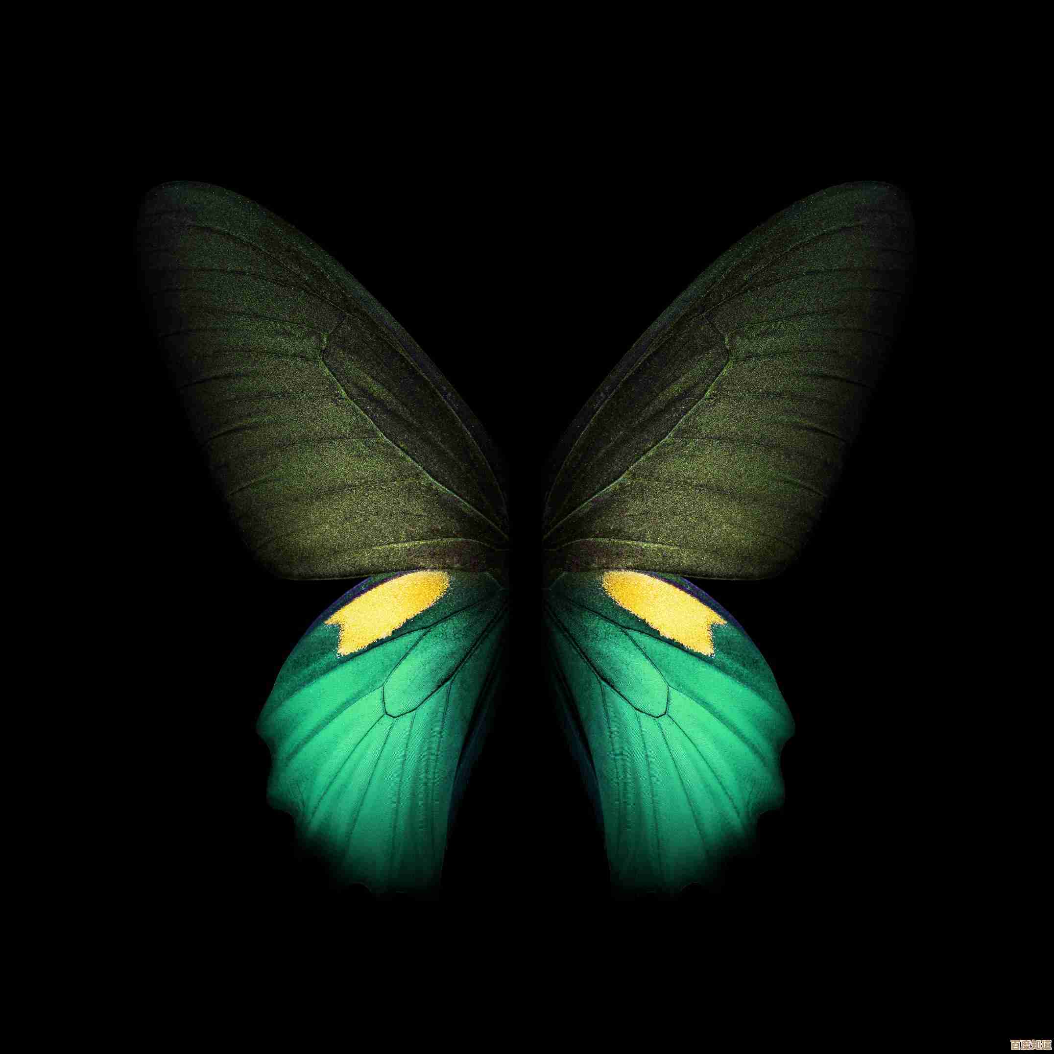 如何辨别手机异常征兆：有效规避爆炸危险的安全策略