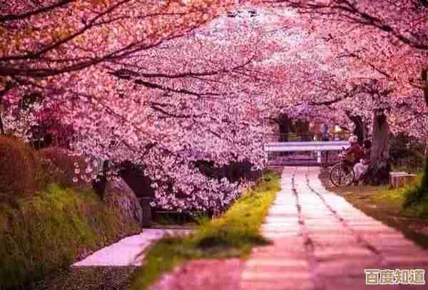 小森灵民宿快速升级实用路线和坑位心得,懒人也能一步步升起来 小森灵民宿快速升级实用路线和坑位心得,懒人也能一步步升起来