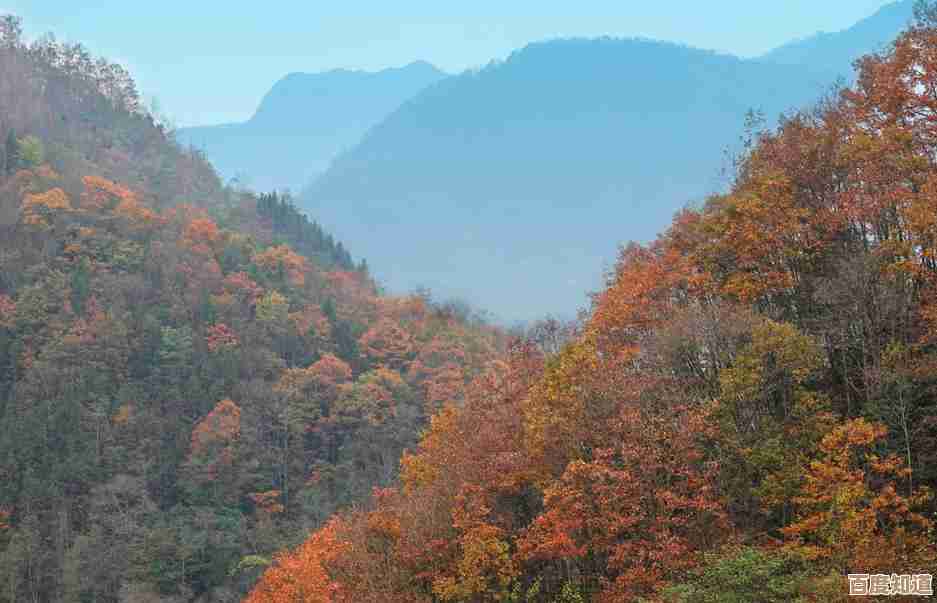 《云端极限挑战：叠梦天际间的勇气与梦想》