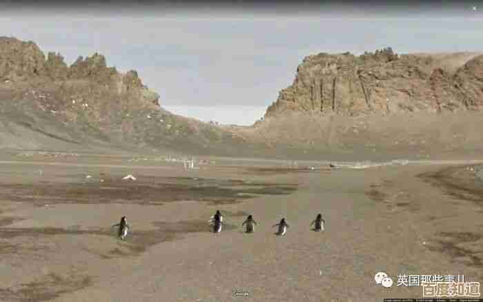 立即获取谷歌地图升级版,一键下载全球高清地图与街景数据 立即获取谷歌地图升级版,一键下载全球高清地图与街景数据