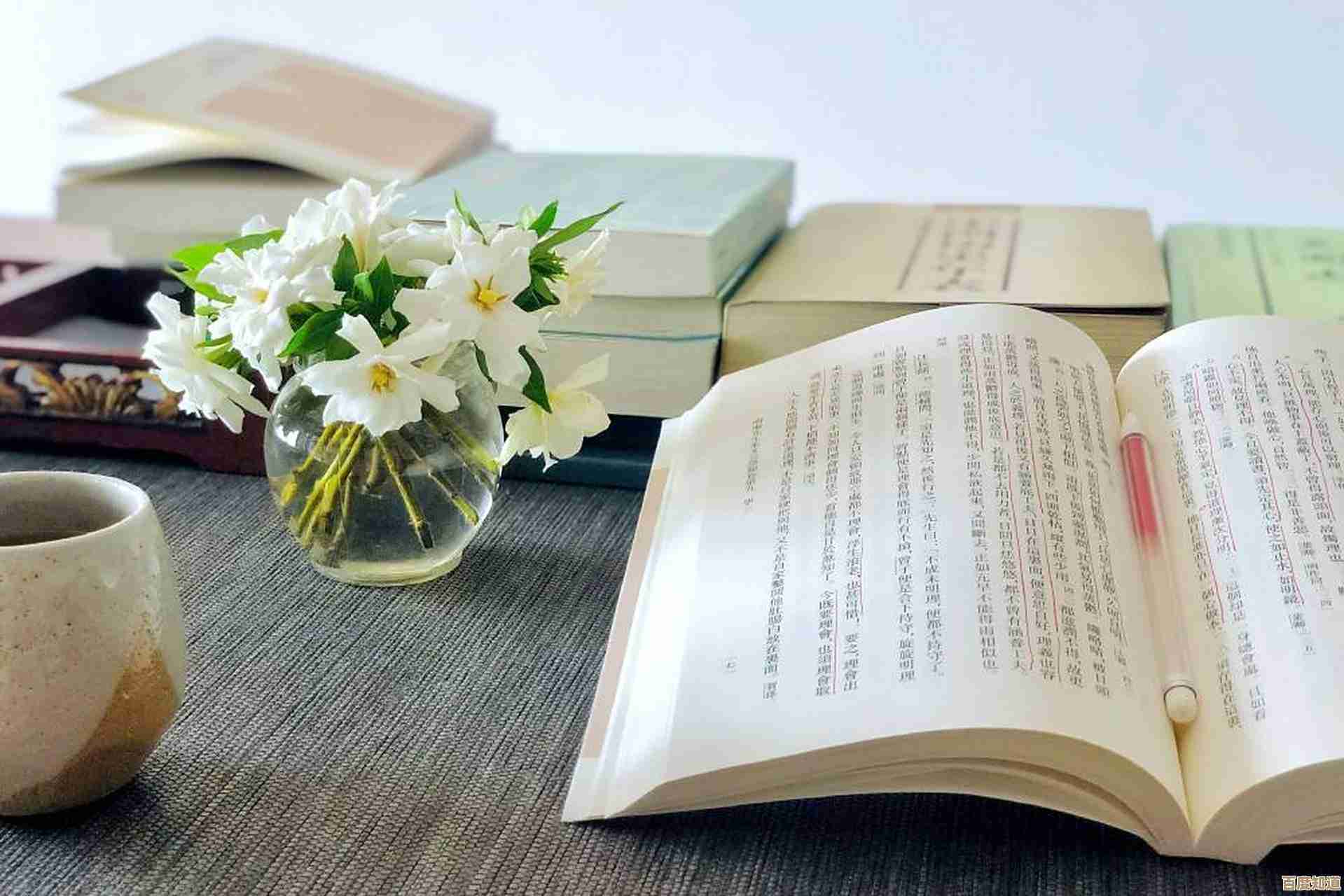 [美篇电脑版]沉浸阅读时光，指尖轻点尽显优雅格调