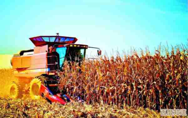 笔记本电脑租赁服务，高效能设备让工作轻松又快捷